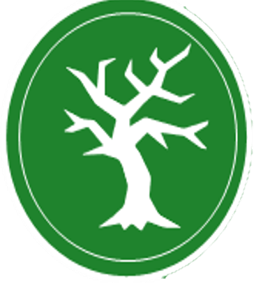 Asset Tree